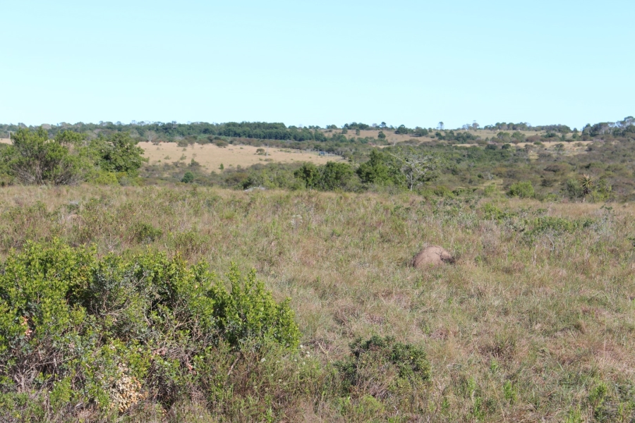1 Bedroom Property for Sale in Bathurst Rural Eastern Cape